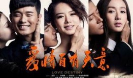 电视剧爱情自有天意在线观看