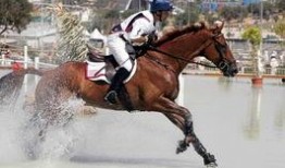 网红骑马爆料视频大全集,揭秘马背上的精彩瞬间